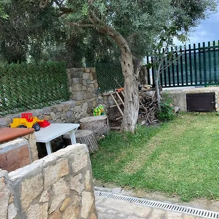 Clizia *